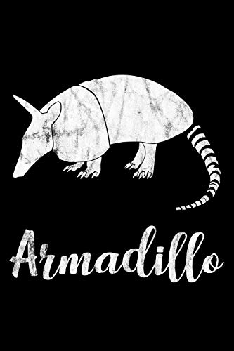 Armadillo: 6X9 120 Pages Quad Ruled | Your Personal Diary Fur An Awesome Summer - 9781075769368
