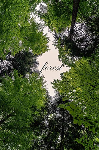 Forest: Dot Grid Paper