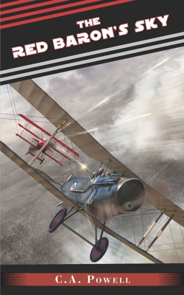 The Red Baron's Sky (Modest Conflict Series)