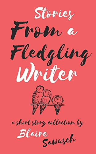 Stories From A Fledgling Writer: A Short Story Collection