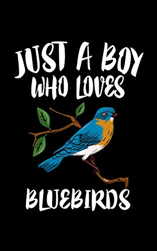 Just A Boy Who Loves Bluebirds: Animal Nature Collection