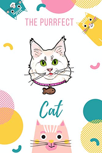 The Purrfect Cat: Turkish Angora Cat