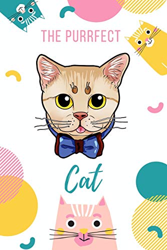 The Purrfect Cat: Munchkin Cat