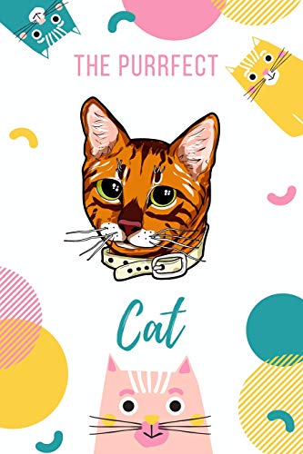 The Purrfect Cat: Toyger Cat