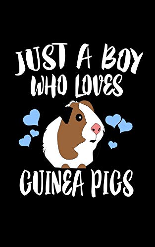 Just A Boy Who Loves Guinea Pigs: Animal Nature Collection