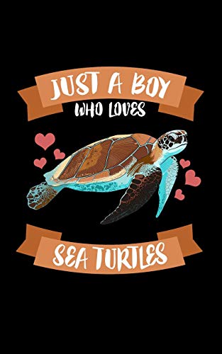 Just A Boy Who Loves Sea Turtles: Animal Nature Collection