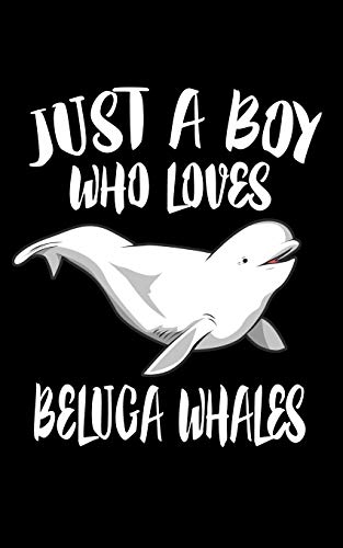Just A Boy Who Loves Beluga Whales: Animal Nature Collection - 9781079092455