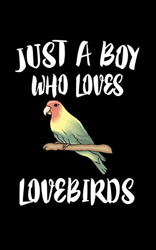Just A Boy Who Loves Loverbirds: Animal Nature Collection
