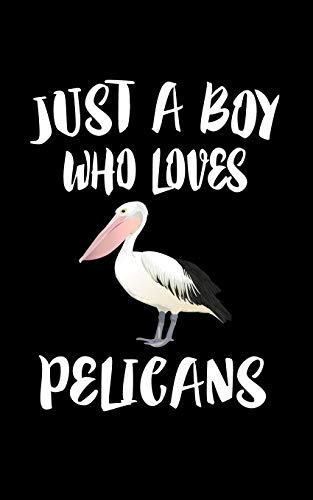 Just A Boy Who Loves Pelicans: Animal Nature Collection