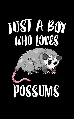 Just A Boy Who Loves Possums: Animal Nature Collection
