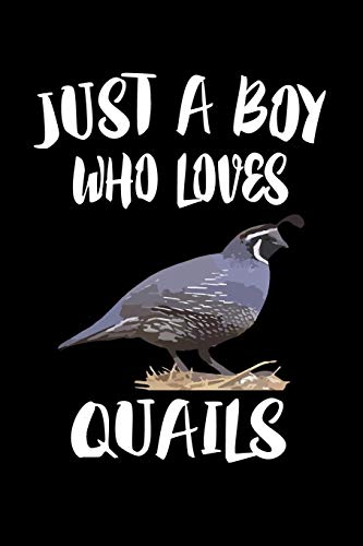 Just A Boy Who Loves Quail: Animal Nature Collection