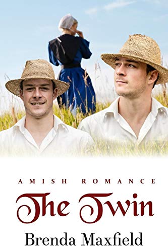 The Twin (Lindy's Story)