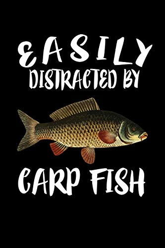 Easily Distracted By Carp Fish: Animal Nature Collection