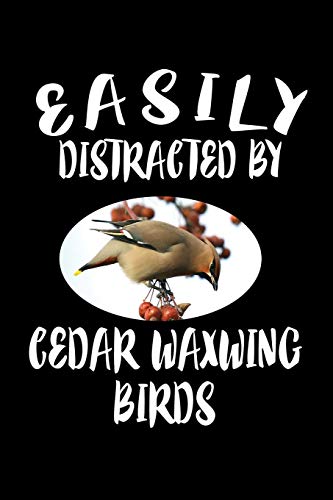 Easily Distracted By Cedar Waxwing Birds: Animal Nature Collection
