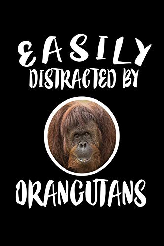 Easily Distracted By Orangutans: Animal Nature Collection