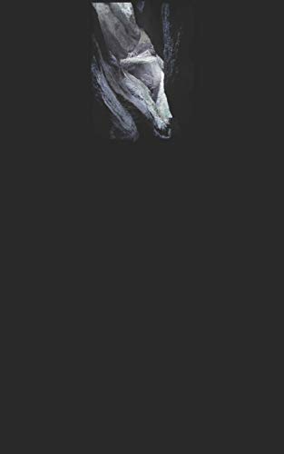 Or, A Light In The Dark: Else, A Cave
