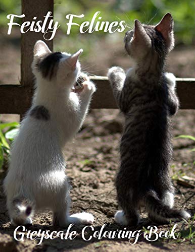 Feisty Felines Greyscale Colouring Book: Proceeds Go To No-Kill Kitty Shelters Throughout South Africa