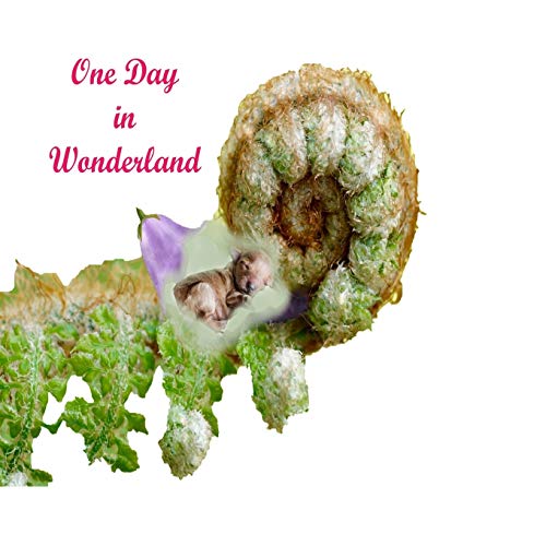 One Day In Wonderland: Magic Of Advanture In Wonderland.Colorful Nature.