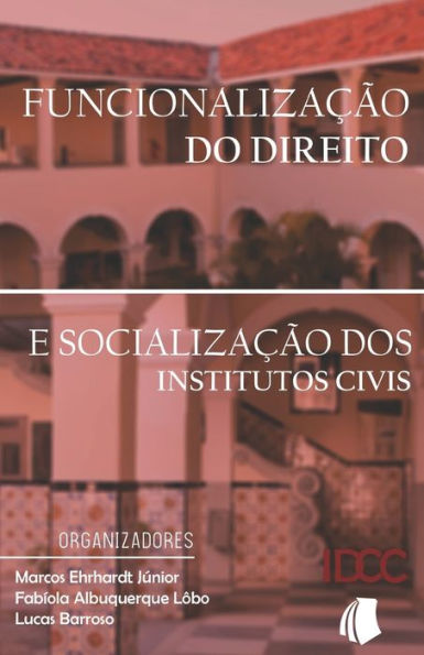 Funcionalização Do Direito: E Socialização Dos Institutos Civis (Portuguese Edition)