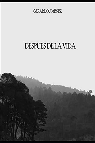 Despu?s De La Vida (Spanish Edition)