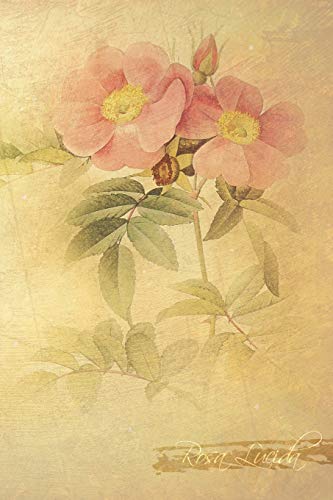 Rosa Lucida: Floral Notebook With Flower Illustrations On Every Page