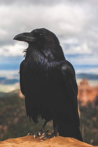 Call Of The Crow: A Witch's Grimoire