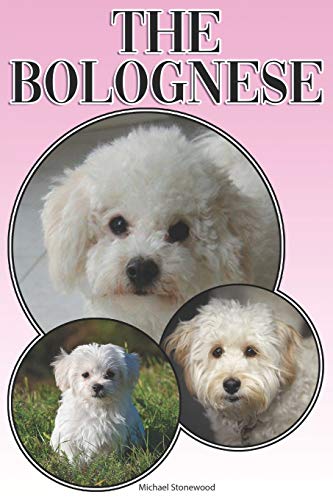 The Bolognese: A Complete And Comprehensive Beginners Guide To: Buying, Owning, Health, Grooming, Training, Obedience, Understanding And Caring For Your Bolognese