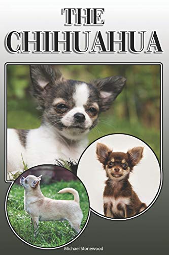 The Chihuahua: A Complete And Comprehensive Owners Guide To: Buying, Owning, Health, Grooming, Training, Obedience, Understanding And Caring For Your Chihuahua