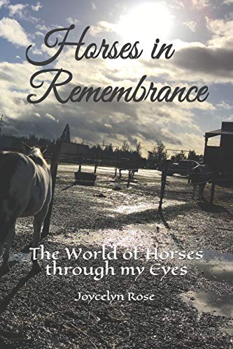Horses In Remembrance: The World Of Horses Through My Eyes