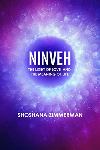 Ninveh: The Light Of Love And The Meaning Of Life