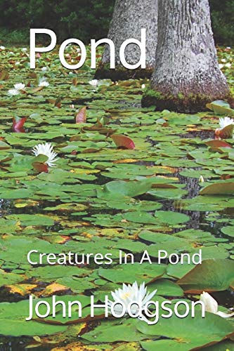 Pond: Creatures In A Pond
