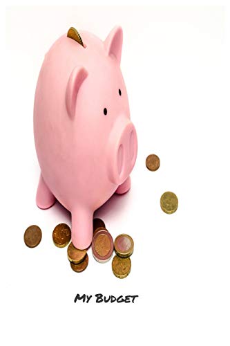 My Budget: Your Ultimate Budgeting Tool