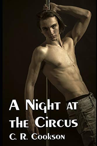 A Night At The Circus