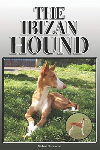 The Ibizan Hound: A Complete And Comprehensive Owners Guide To: Buying, Owning, Health, Grooming, Training, Obedience, Understanding And Caring For Your Ibizan Hound
