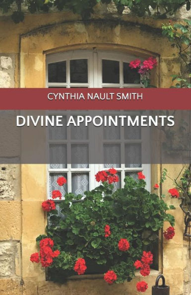 Divine Appointments - 9781096382607
