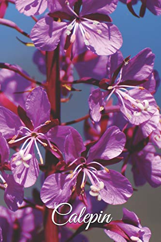 Calepin: 100 Pages - Motif Floral (French Edition)