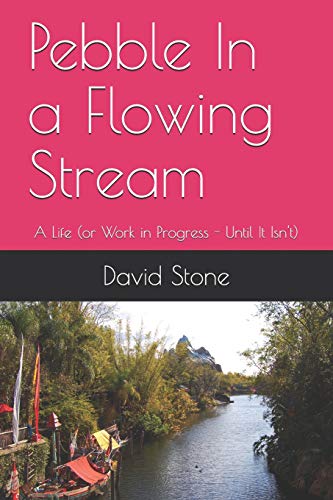 Pebble In A Flowing Stream: A Life (Or Work In Progress - Until It Isn't)