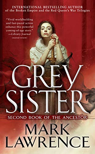 Grey Sister (Book Of The Ancestor)