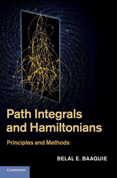 Path Integrals And Hamiltonians: Principles And Methods