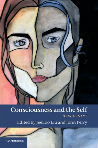 Consciousness And The Self: New Essays