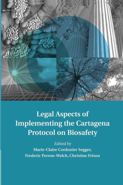 Legal Aspects Of Implementing The Cartagena Protocol On Biosafety (Treaty Implementation For Sustainable Development)