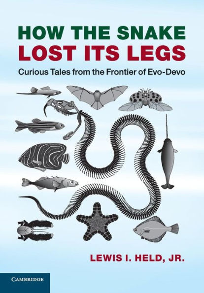 How The Snake Lost Its Legs: Curious Tales From The Frontier Of Evo-Devo