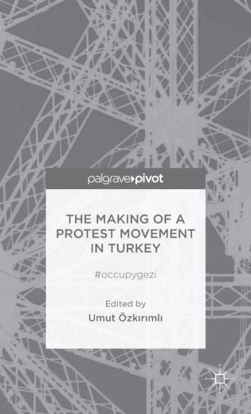 The Making Of A Protest Movement In Turkey: #Occupygezi