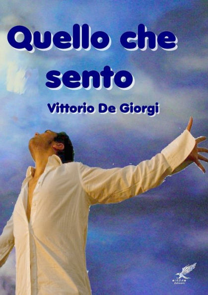 Quello Che Sento (Italian Edition)