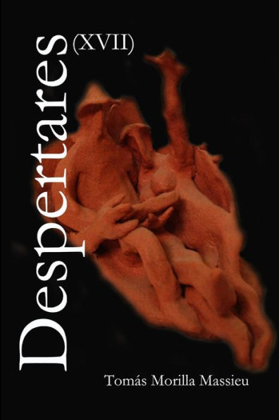 Despertares Xvii (Spanish Edition)