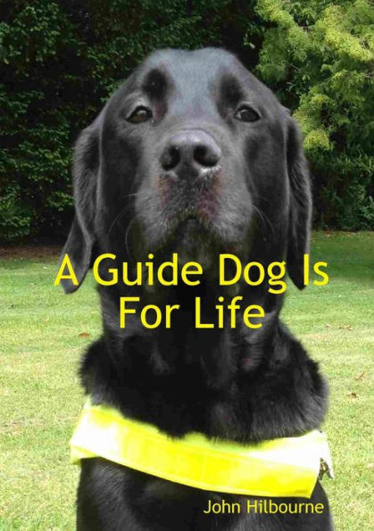 A Guide Dog Is For Life