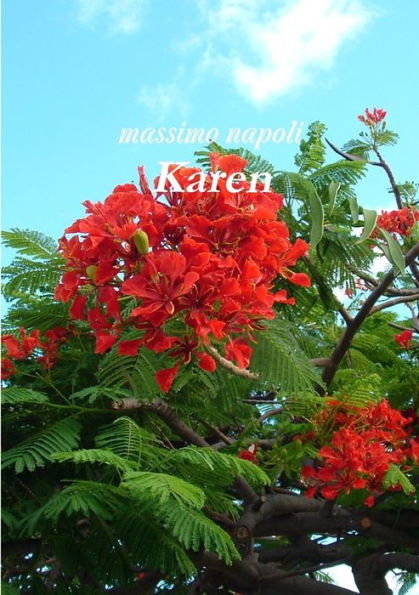 Karen (Italian Edition)