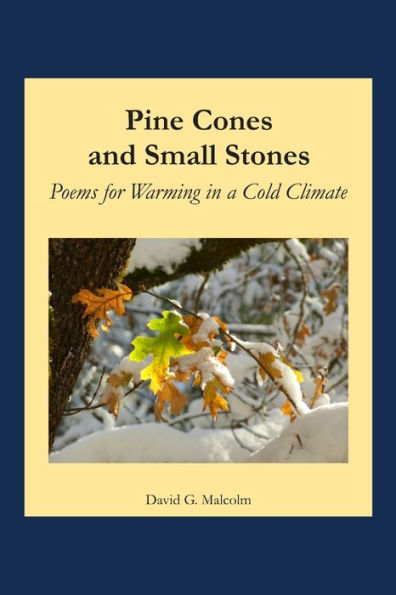 Pine Cones And Small Stones