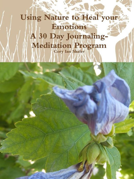 Using Nature To Heal Your Emotions