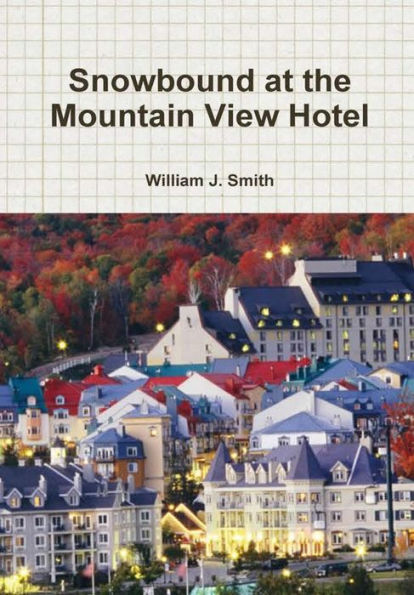 Snowbound At The Mountain View Hotel